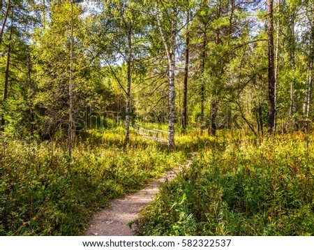 Similar – Wald im Frühling Erholung