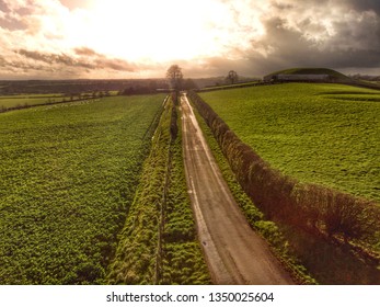 Road To Newgrange Tomb