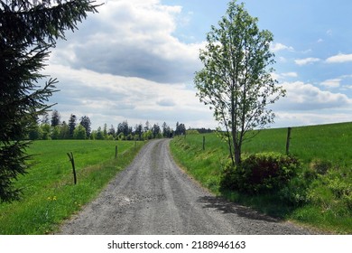       Road To Nowhere In Spring Time                         