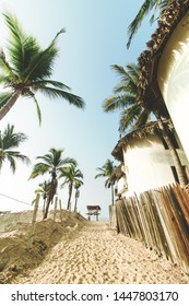 Mexican Nudists - ImÃ¡genes, fotos de stock y vectores sobre Nudists | Shutterstock