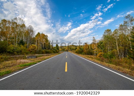 The road on the autumn colorful forests landscape.