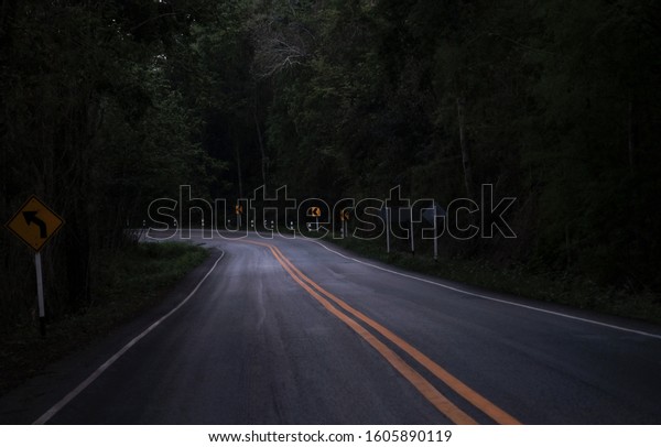 Road on the dark\
view on the mountain road among green forest trees / curve asphalt\
road lonely scary at night
