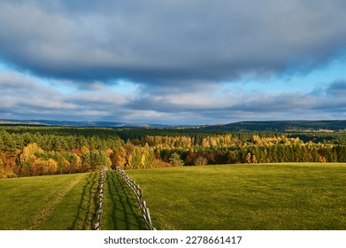 A road on a hill separating the pasture in autumn - Shutterstock ID 2278661417
