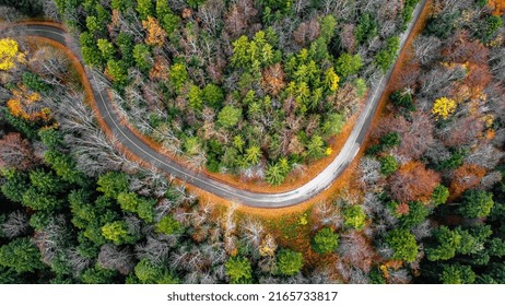 Road On The Mountain Kozara