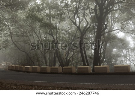 Similar – Image, Stock Photo Fog line Environment Air