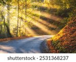 Road in orange forest in fog and sunbeams at sunrise in golden autumn. Dolomites, Italy. Beautiful mountain road, tress, sun rays, red and orange leaves. Empty road through the woods in fall	