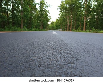 Road Passing Through Black Hills National Forest