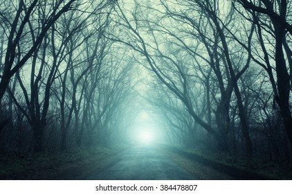 The Road Passing Through Scary Mysterious Forest With Green  Light In Fog In Autumn. Magic Trees. Nature Misty Landscape