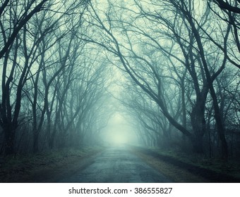 The Road Passing Through Scary Mysterious Forest With Green  Light In Fog In Autumn. Magic Trees. Nature Misty Landscape