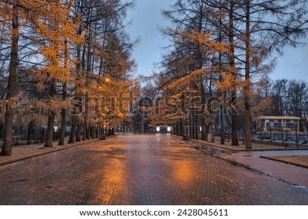 road paved with red tiles with beautiful coniferous trees on the sides with yellow needles in the light of lanterns in the late evening