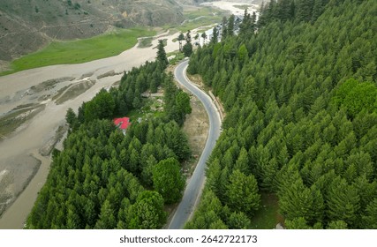 A Road piercing through a thick pine forest in Naran
