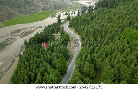 A Road piercing through a thick pine forest in Naran