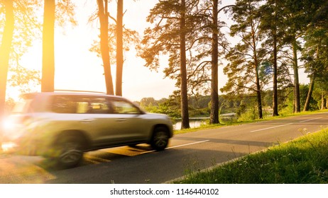 The road in the pine forest, the rays of the sun through the trees, the machine in motion, the blur