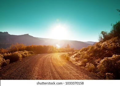 Road In The Prairie Country