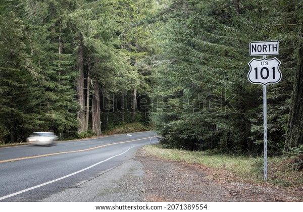 A road in the Redwood National Park\
covered in greenery in California, the\
US