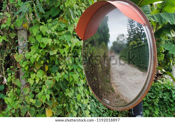 road reflector\
mirror