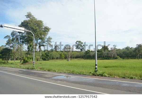 Road with rice field landscape. Take a picture on\
the car to view