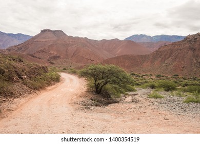 A road to the rocks