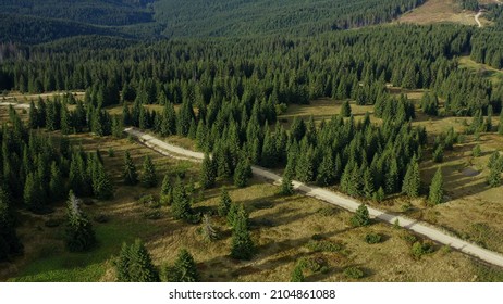 Road In Rocky Forest Aerial View Warm Sunny Summer Day Green Spruces Background. Small Hills Path Drone Panorama Tranquil Trees National Park Beautiful Landscape. Natural Mountain Woods Scene Concept