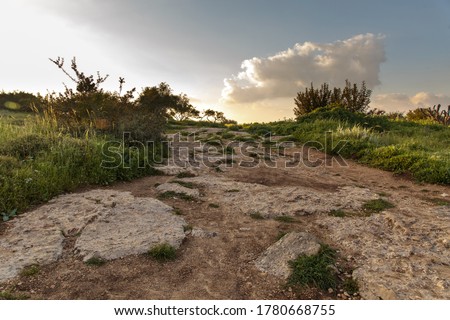 The road up a rocky hill in the Valley of Elah. Spring landscape before sunset. Israel