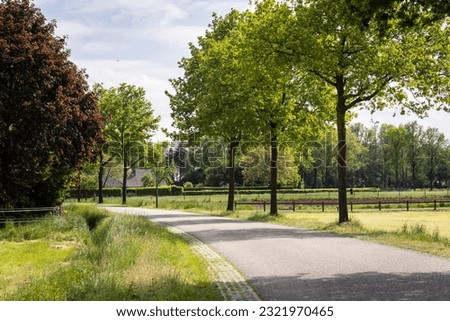 Road in the rural area on the countryside of Eersel, Brabant, The Netherlands, surrounded by green grass, greenery and trees on a sunny day during spring. Serene idyllic scenery