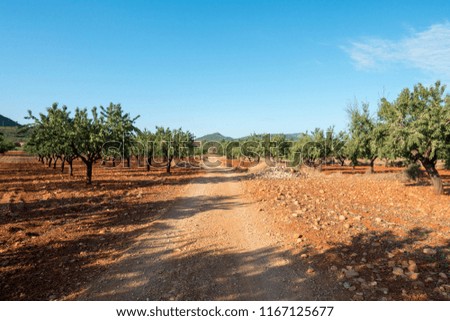 The road to Santiago and the via augusta in Castellon, Spain
