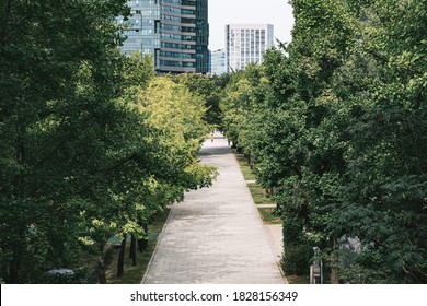 A Road In Seoul Forest Park