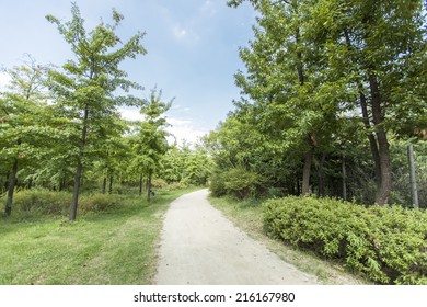 A Road In The Seoul Forest Park.