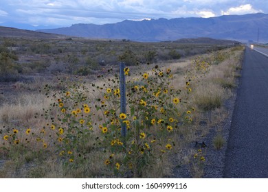 Road Side Attraction Somewhere In Colorado 