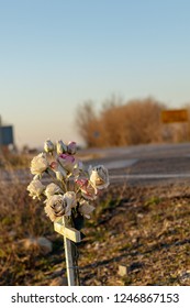 Road Side Memorial To The Dead