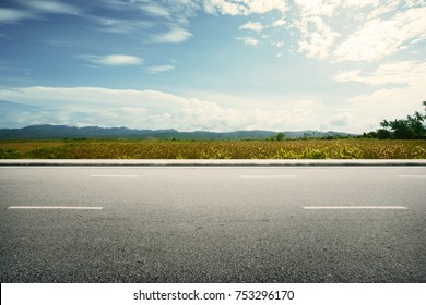 Road Side Paddy Field View Background