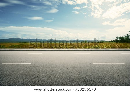 Road side paddy field view background