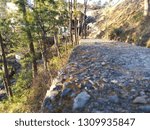 road side view