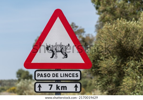 Road sign, attention lynx\
crosses
