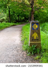 Road Sign Of Camino De Santiago