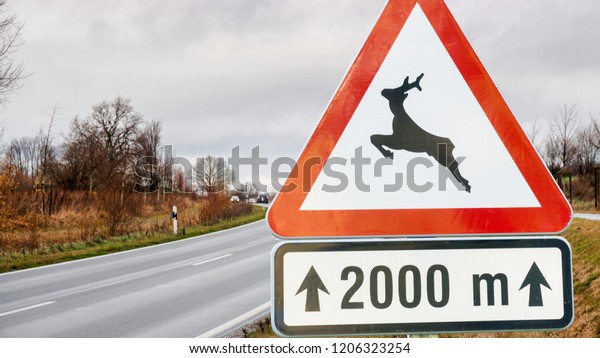 Road sign. Caution\
wild crosses the road