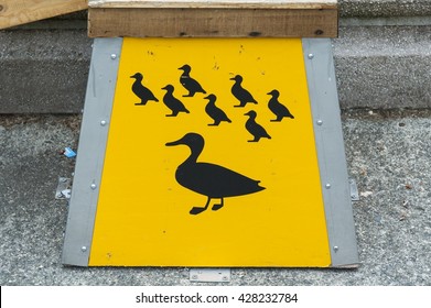 Road Sign Of Ducks Crossing