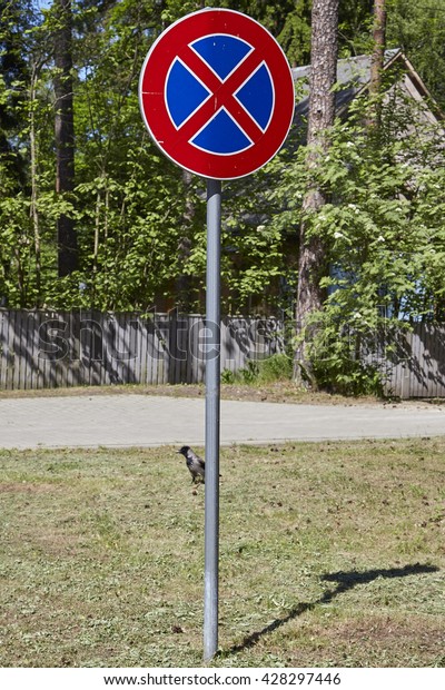 Road sign no parking under blue sky,on green gass.\
European Union.