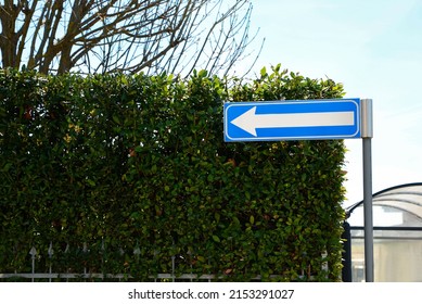 Road Sign One Way Traffic And Green Shrubbery Outdoors