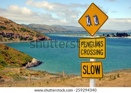 Road sign penguins crossing, Otago peninsula, New Zealand