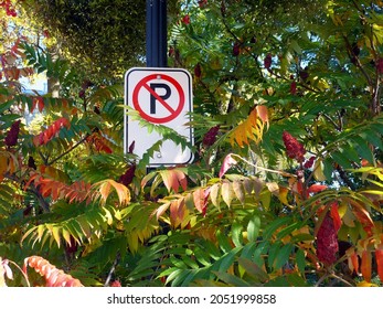 road sign prohibiting parking at this location - Shutterstock ID 2051999858