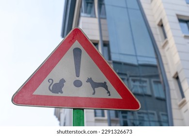 Road sign triangular red-white with the image of animals cats and dogs. Original forbidding sign for tourists istanbul. Banner protecting street stray animals on the background of the building
