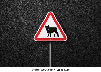 Road sign triangular shape with a picture of the cow on a background of asphalt. The texture of the tarmac, top view.