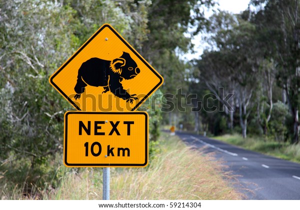 Road sign warning about crossing koalas.\
Typical road sign in Eastern\
Australia