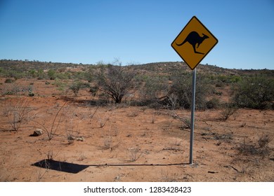 Road Sign Warning Of Kangaroos On Road, Outback NSW, Australia