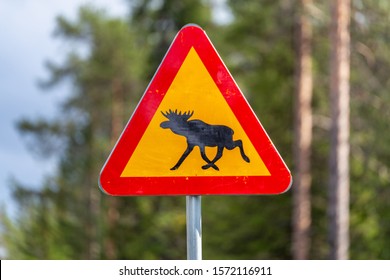 Road sign, warning of moose crossing in the area at Kiruna, Sweden.