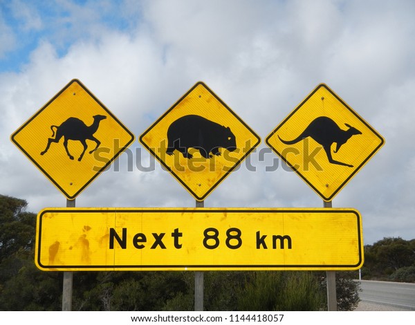 road signs in\
australia, caution sign in Australian Outback, Down under, Beware\
of camels, wombats and\
kangaroos