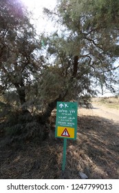 road signs and pointers