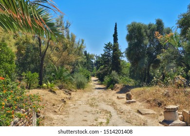 The Road Since The Roman Punic Wars. Anthony Terms In The Excavations Of Carthage. Tunisia 18 06 2019