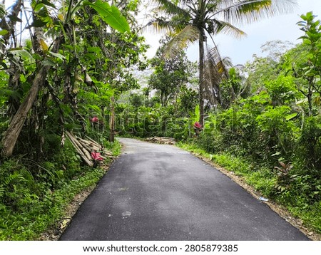 road in a small vilage